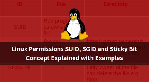 chmod 1777|Special Permissions in Linux: SUID, SGID, & Sticky .